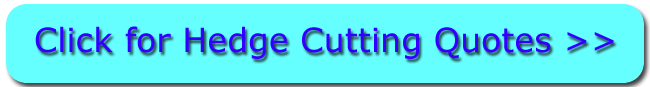 Click For Hedge Trimming in Bugbrooke