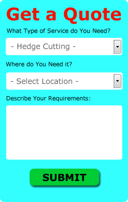 Hedge Cutting Quotes Bugbrooke NN7