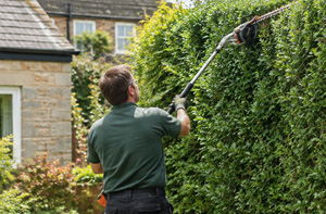 Hedge Cutting Services Caistor LN7