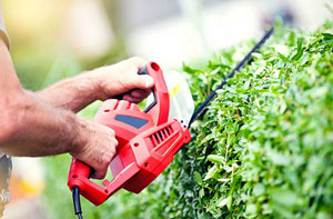 Hedge Cutting Long Sutton (PE12)