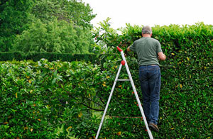 Hedge Trimming Caistor Lincolnshire