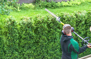 Hedge Trimming in Kirkham