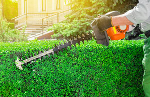 Hedge Cutting Caistor (LN7)